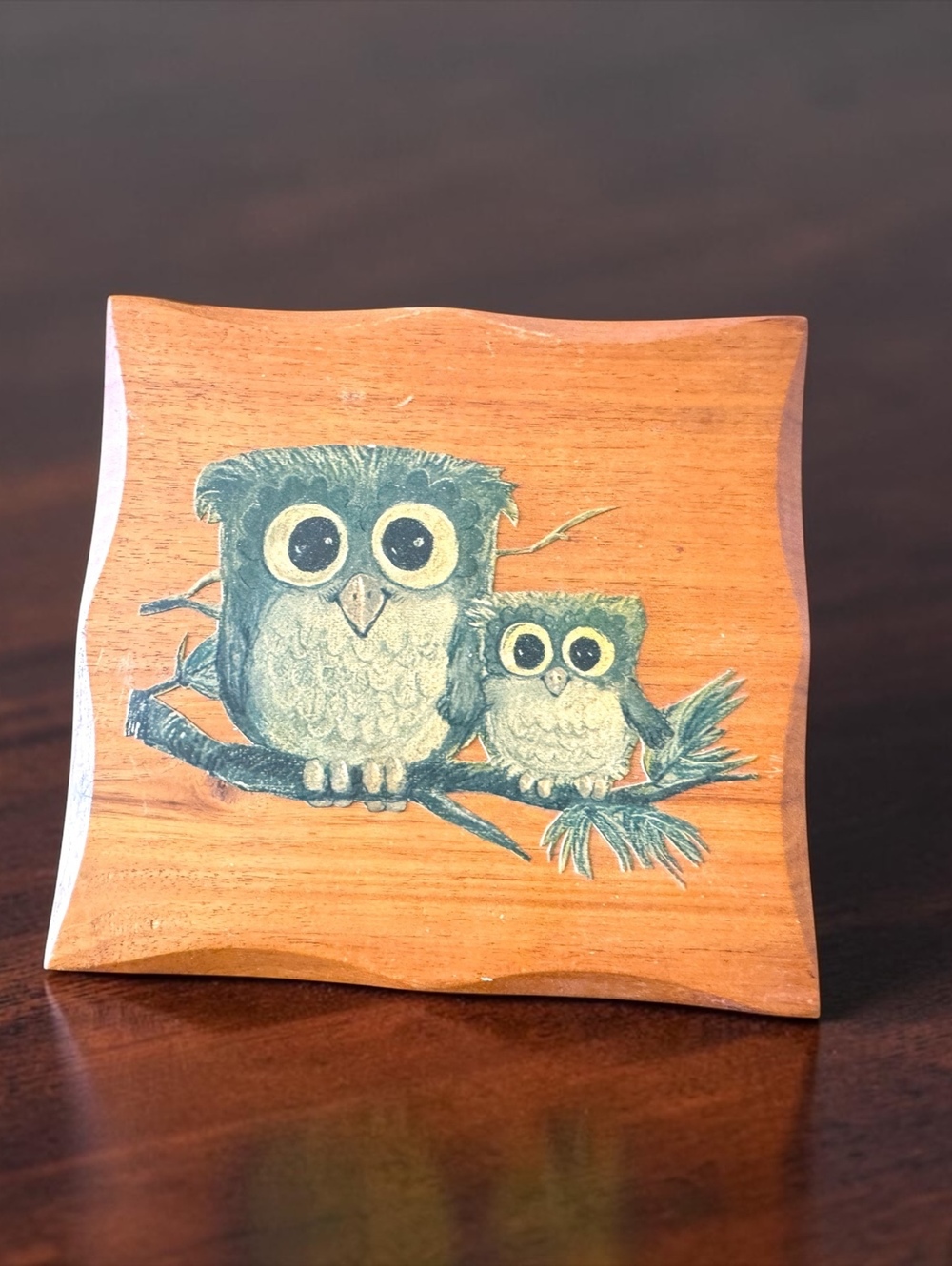 Mid-Century Modern Wooden Wall Plaque with Owls Illustration